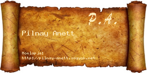 Pilnay Anett névjegykártya